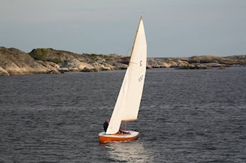 Årsmøte i RSF